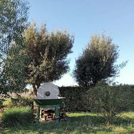 Agriturismo Accattapane Settecento7 Casa de Férias *