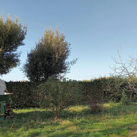 Agriturismo Accattapane Settecento7 Holiday home Donoratico